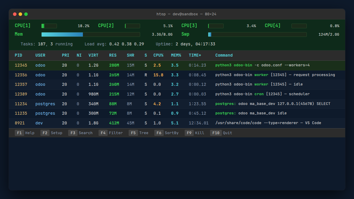 htop filtré sur l'utilisateur odoo affichant plusieurs processus python/odoo-bin avec consommation CPU et RAM par worker